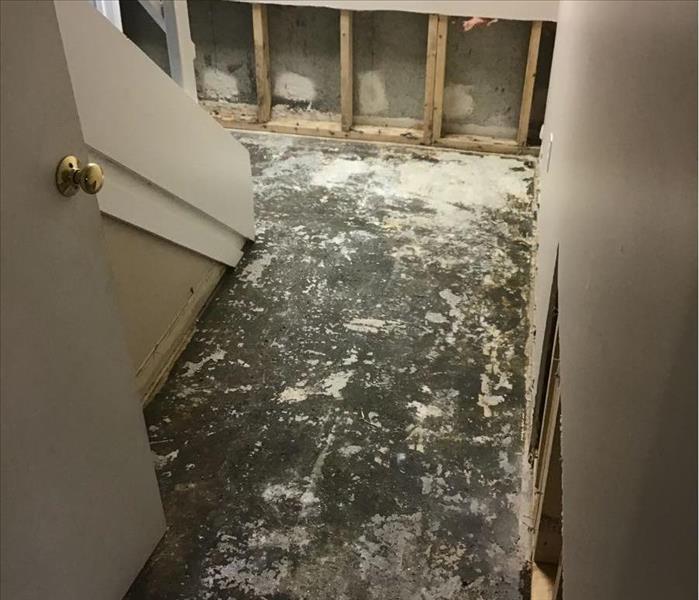 Carpets and drywall that affected by sewer water being removed