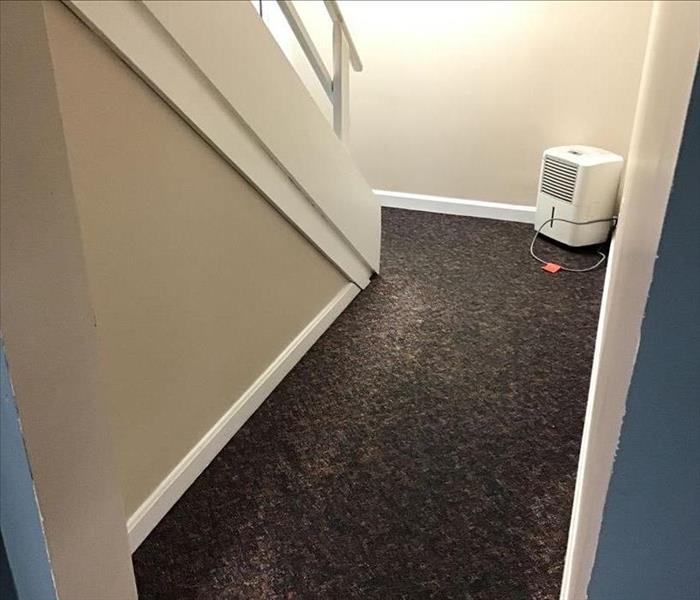 Stairwell carpet and drywall affected by sewer